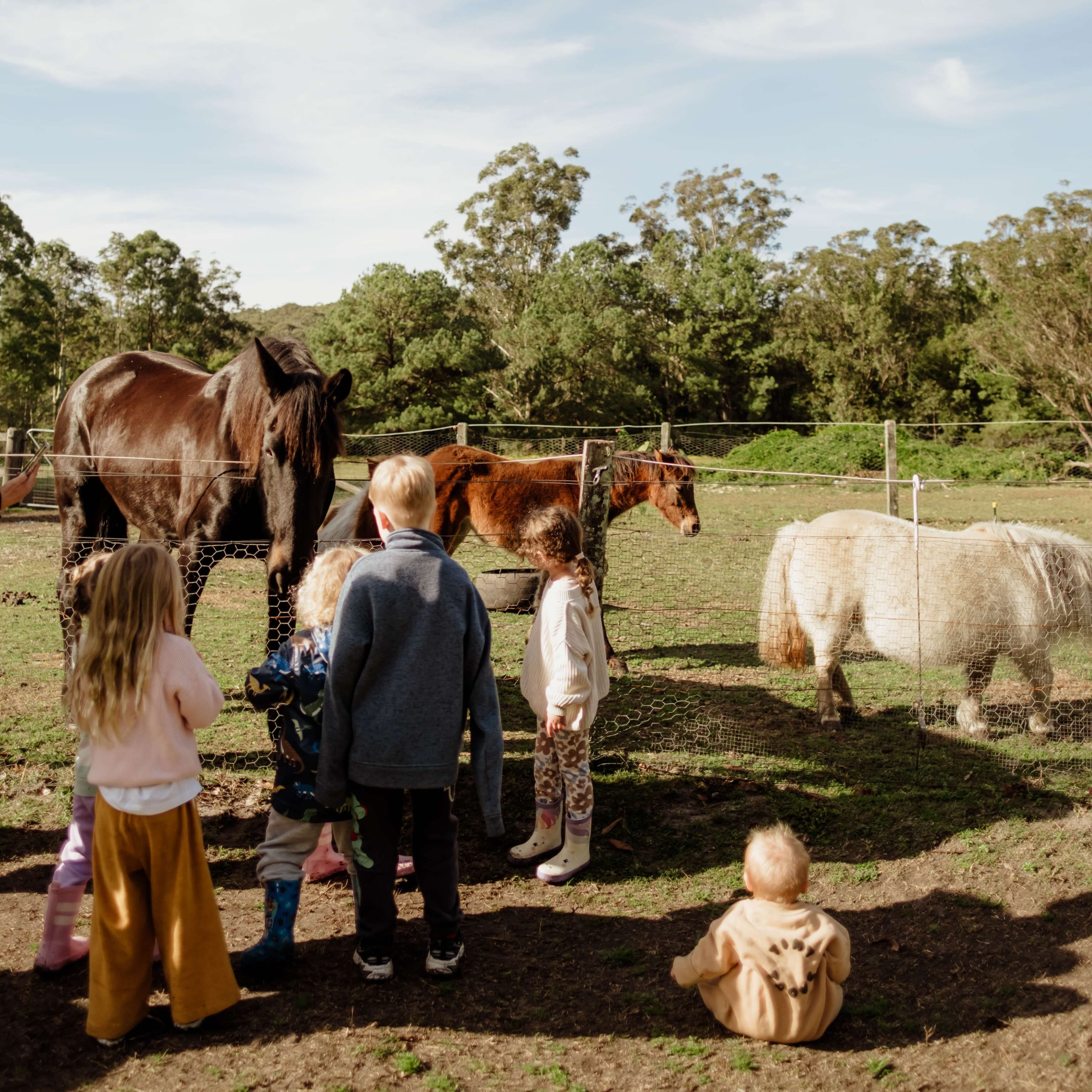 A group of young children stand in front of a paddock, with white and brown horses roaming around